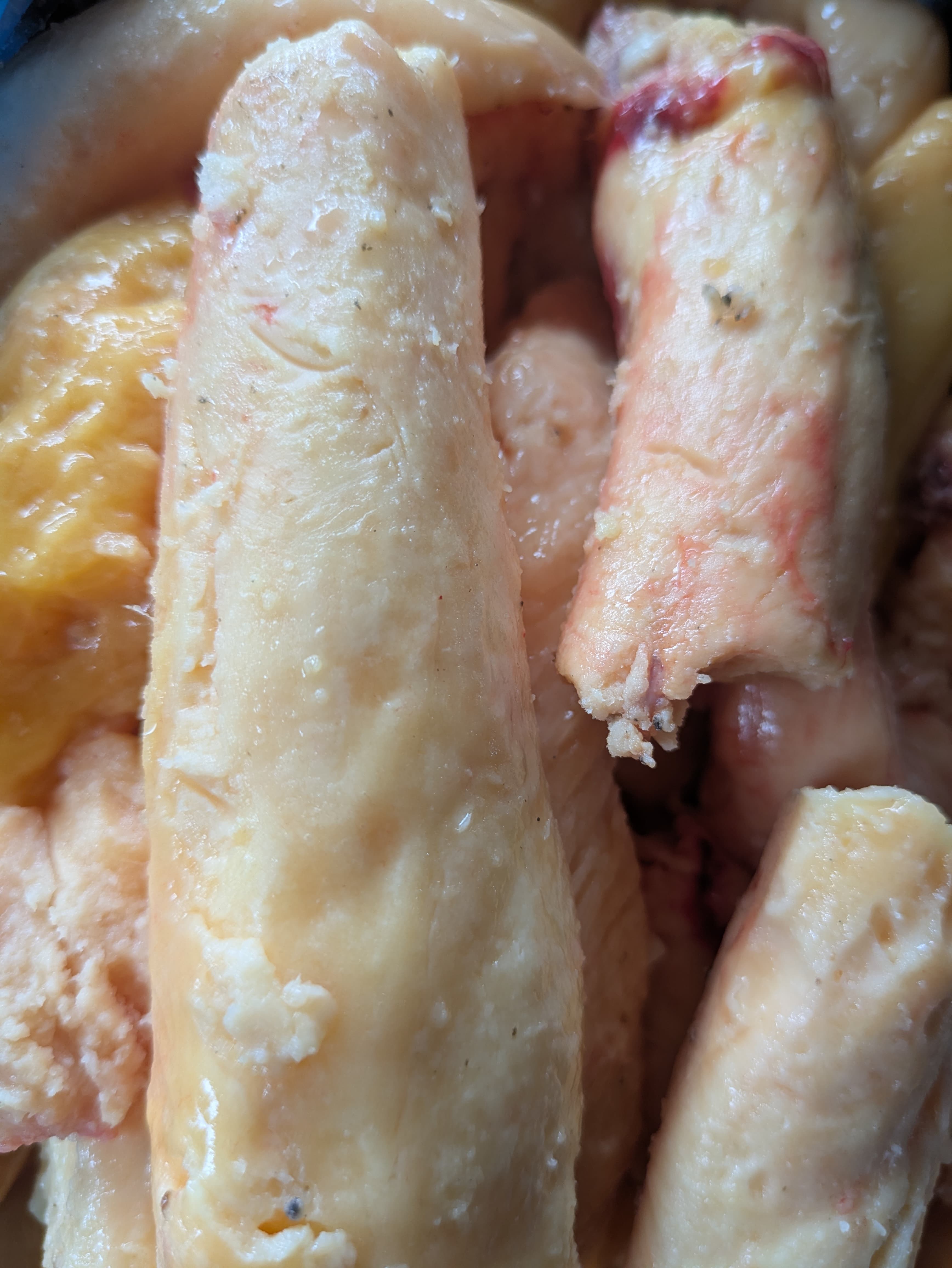 Bone Marrow